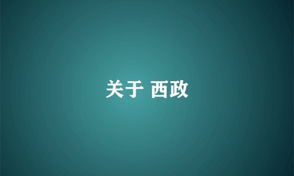关于 西政