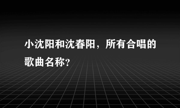 小沈阳和沈春阳，所有合唱的歌曲名称？