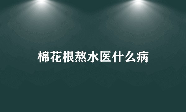 棉花根熬水医什么病