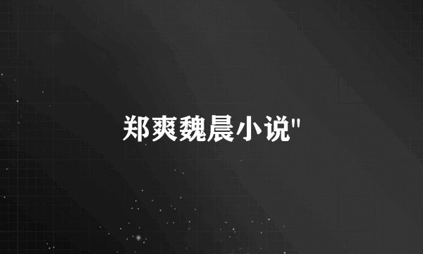 郑爽魏晨小说