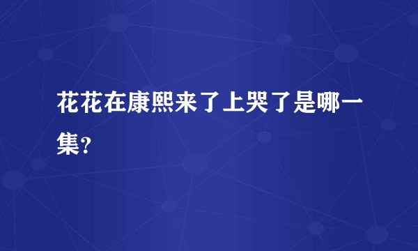 花花在康熙来了上哭了是哪一集?