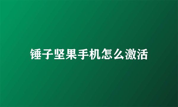 锤子坚果手机怎么激活