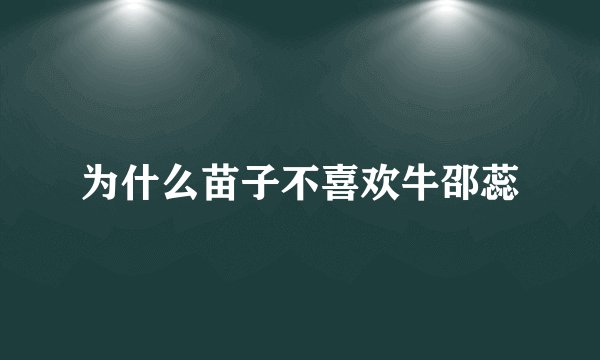 为什么苗子不喜欢牛邵蕊