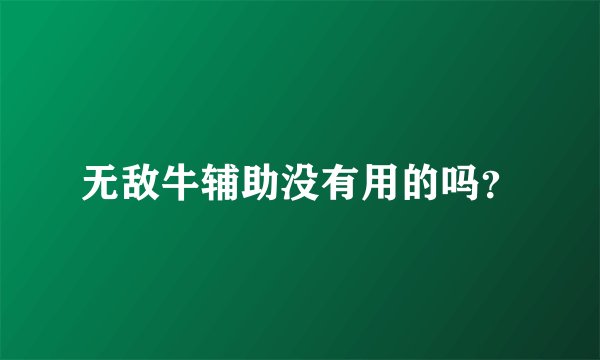 无敌牛辅助没有用的吗？