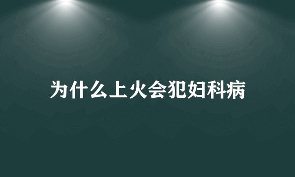 为什么上火会犯妇科病