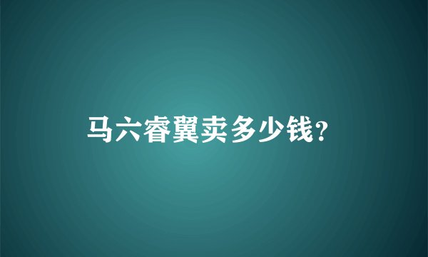 马六睿翼卖多少钱？