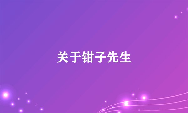 关于钳子先生