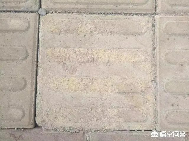 广西柳州紫荆