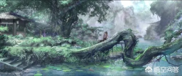 痴迷《魔道祖师》的女生是什么心态？