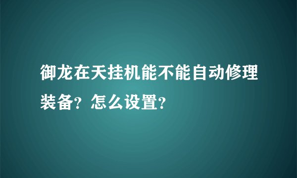 御龙在天挂机能不能自动修理装备？怎么设置？