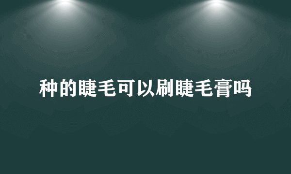 种的睫毛可以刷睫毛膏吗