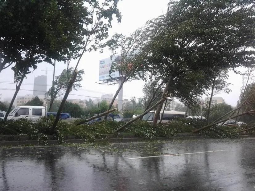 13号台风鲸鱼生成