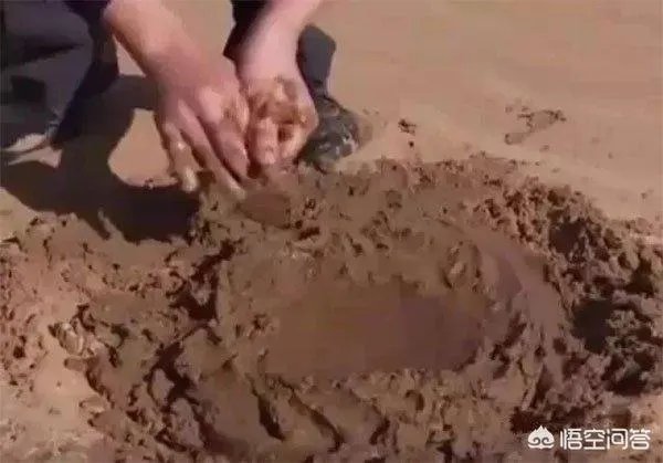 沙漠胶水真的能治好沙漠吗?