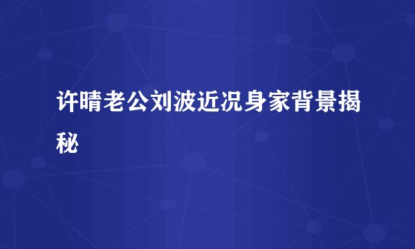 许晴老公刘波近况身家背景揭秘