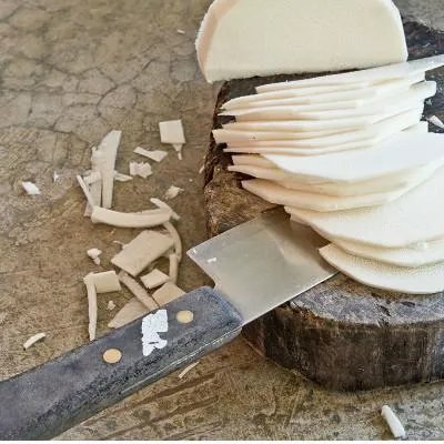 支原体肺炎是什么