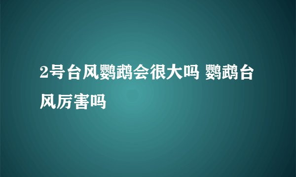 2号台风鹦鹉会很大吗 鹦鹉台风厉害吗