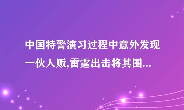 中国特警演习过程中意外发现一伙人贩,雷霆出击将其围剿是什么电影？