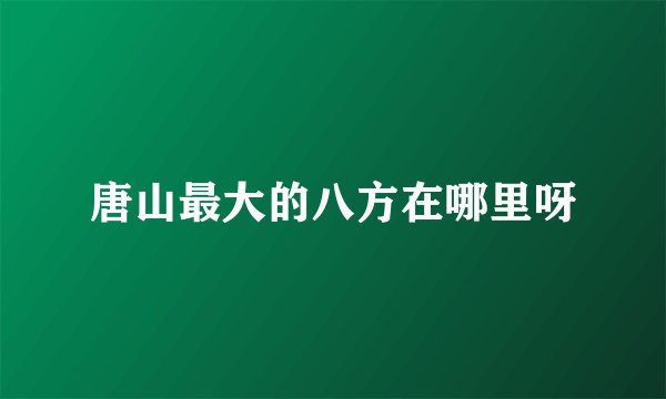 唐山最大的八方在哪里呀