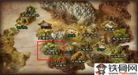 丛林迷宫